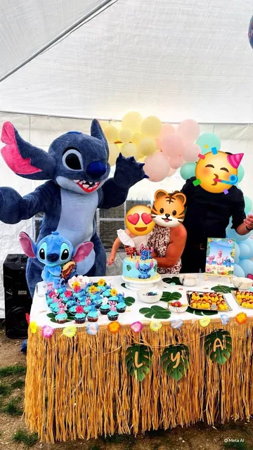 Stitch en situation
