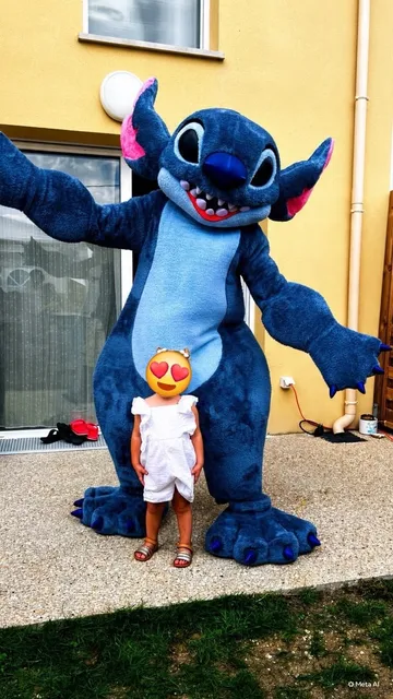 Stitch en situation